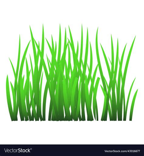 Green Grass Royalty Free Vector Image Vectorstock