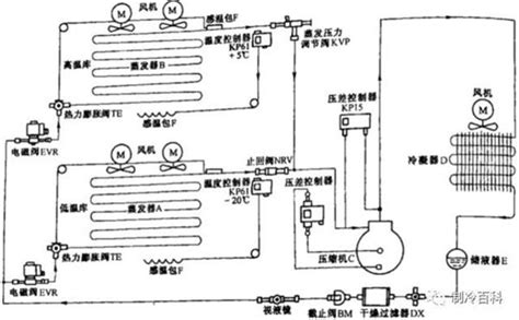 冷库系统组成控制与运行流程了解一下 制冷百科