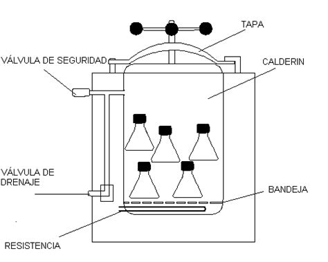 C Mo Funciona El Autoclave Quiminet