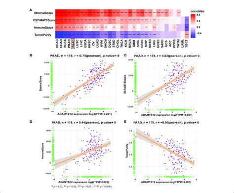 Tme Scores And Adamts12 A Heatmap Representing The Correlation