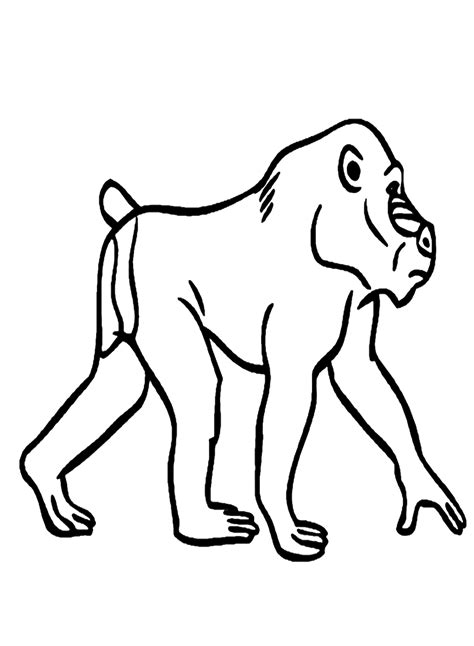 Mandrill Walking Coloring Page Free Printable Coloring Pages