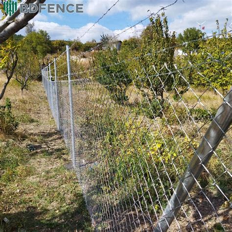 Playground Galvanized Chain Link Mesh Sports Court Steel Wire Security