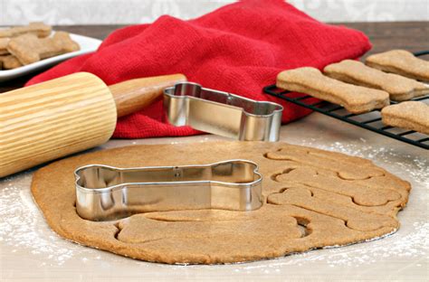 Quick And Easy Dog Treat Recipe Pet Shield Insurance