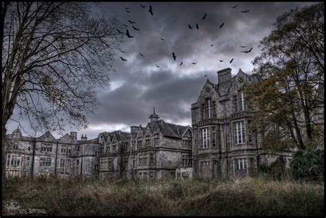 Abandoned Asylum "D" | Lugares abandonados, Edificios abandonados ...