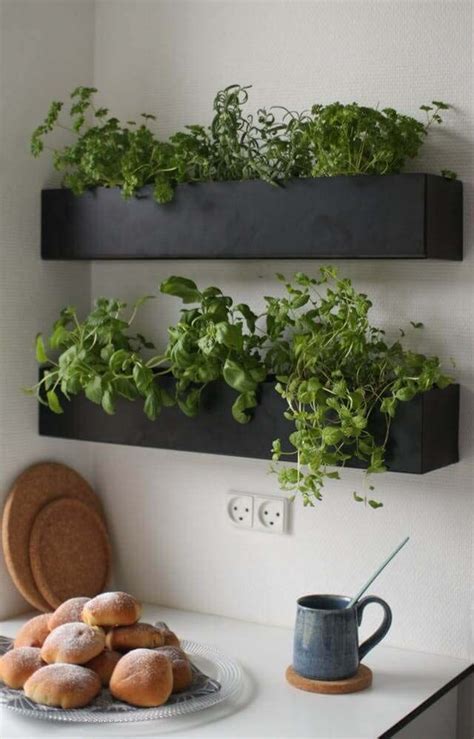 kitchen shelf herb garden ideas