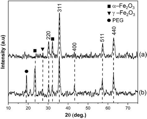 X Ray Diffraction Xrd Patterns Of A Fe3o4 And B Fe3o4peg Mnps