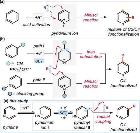 Photochemical Organocatalytic Functionalization Of Pyridines Via