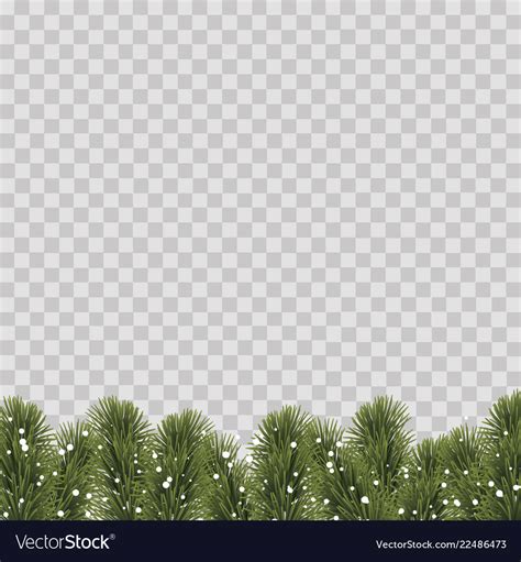 Christmas border with pine tree branches Vector Image