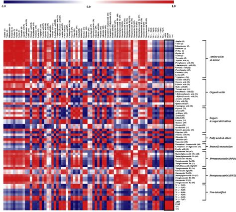 Heat Map Representation Of Correlation Analysis Between Relative Download Scientific Diagram