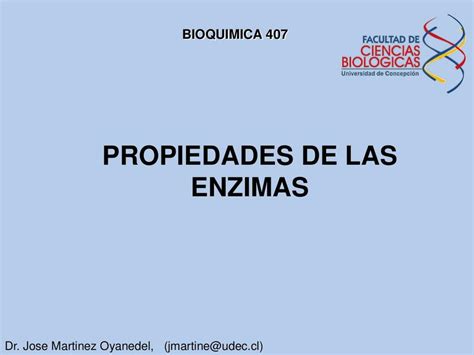 Enzimas Propiedades Rodrigo Udocz