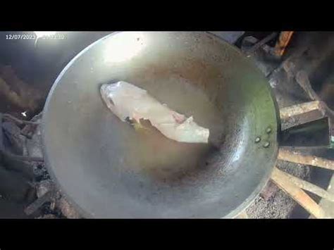 Tamang Paraan Sa Pag Tanggal Ng Lason Ng Botete Puffer Fish Cooking