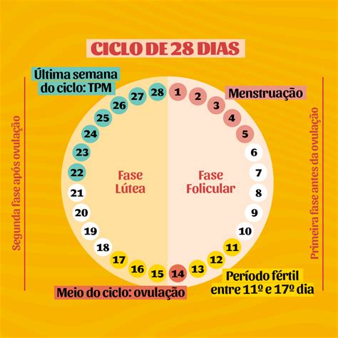 Como Entender Meu Ciclo Menstrual E A Rolou