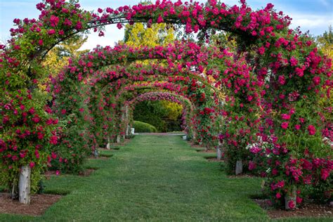 Enchanting Connecticut Gardens - Flower Magazine