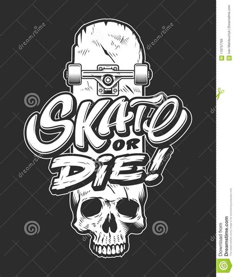Vintage Sport Skateboarding Logo Stock Vector Illustration Of