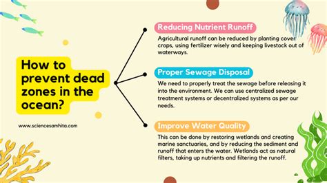 What are Ocean Dead Zones? What Causes Them and How Can We Prevent Them ...