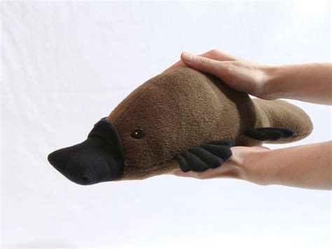 Handmade Platypus Plush Stuffed Animal Crafted By Becca