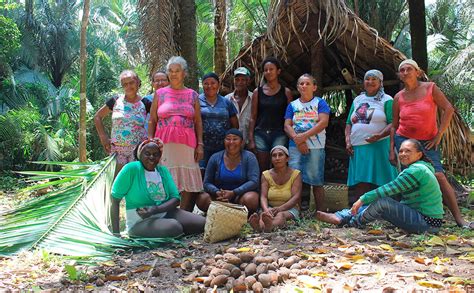 Agricultores Familiares Usam Tecnologia Para Obter Cr Dito E Vender