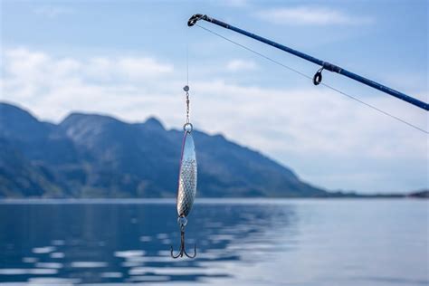 Best Bass Fishing Rods Available And How To Choose Them