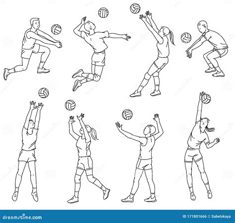 Volleyball Players Line Silhouettes Set Of Sketch Vector Illustrations