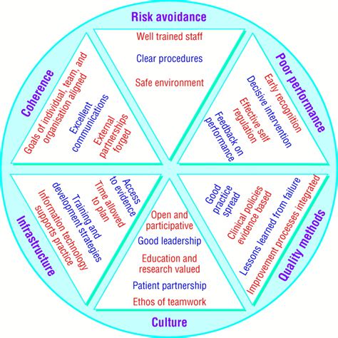 Clinical Governance And The Drive For Quality Improvement In The New