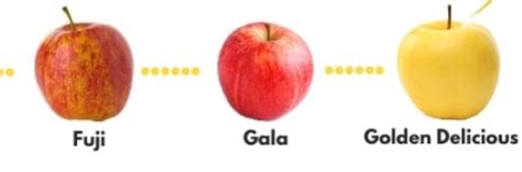 Apples Fuji Gala And Golden Delicious Are Some Of The Best Ones