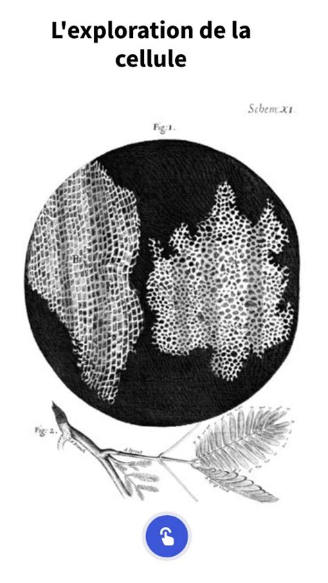 L Exploration De La Cellule