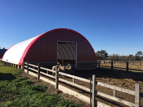 Housing And Facilities Webinar Offered For Sheep And Goat Producers