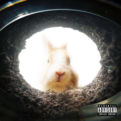 Rabbit Hole Single By SvnRey Spotify