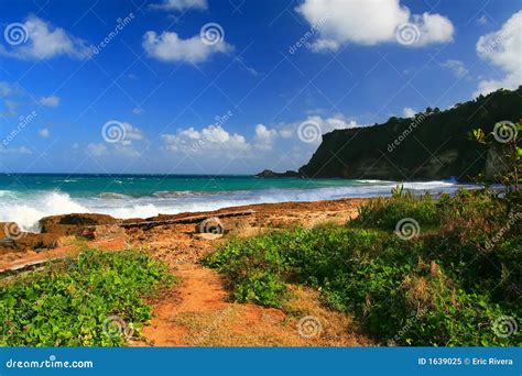 Beautiful Tropical Beach In Aguadilla Puerto Rico Stock Image Image