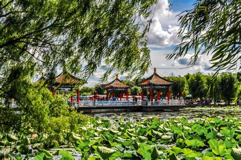 landscape  nanhu park changchun china stock image image  flower