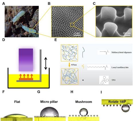 湖南大学王兆龙团队3D打印制备仿生超疏水微结构用于微液滴操纵 知乎