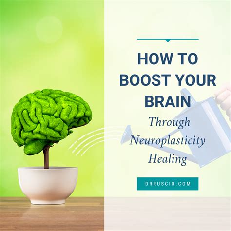 How To Boost Your Brain Through Neuroplasticity Healing