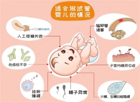 【科普】做试管婴儿的适应症与禁忌症 治疗 精子 卵子