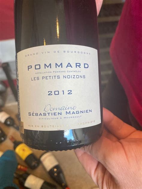 2012 Domaine Sébastien Magnien Pommard Les Petits Noizons France