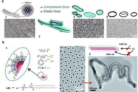 复旦大学聂志鸿教授和康涅狄格大学何杰教授chem Soc Rev ：聚合物引导的无机纳米粒子组装 表面