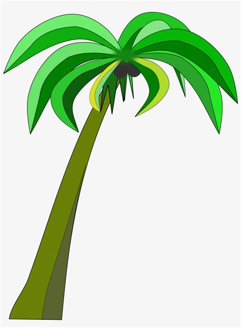 Coconut Tree Black And White Clipart