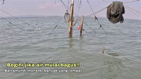 Begini Jika Air Mulai Bagus Mancing Di Spot Kakap Putih Monster