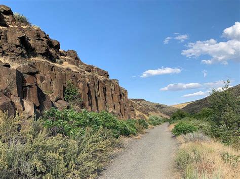 Cowiche Canyon Washington Northwest Wildflowers