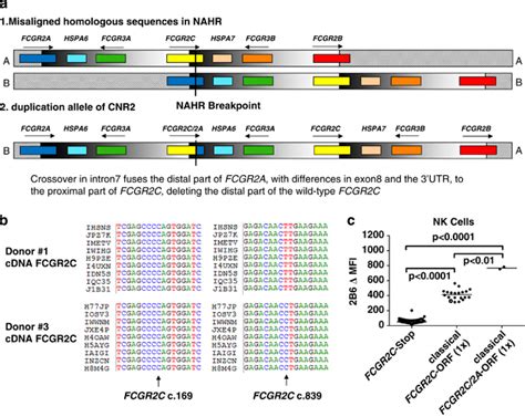 FCGR2C 2A Chimeric Genes Of The Classical FCGR2C ORF Haplotype Have A