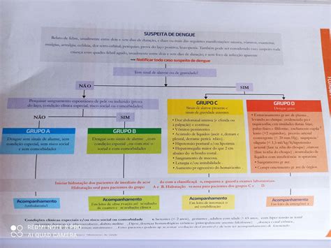 DENGUE | Mind Map