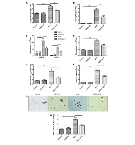 Effect Of Drde 30 On Vascular Leak And Cellular Composition Of Balf