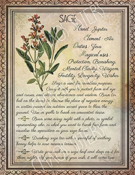 Printable Herbs Book Of Shadows Pages Set Herbs Plants Etsy Wicca