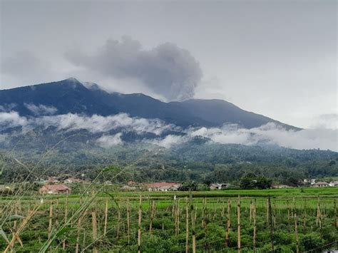 Gunung Marapi Erupsi Lagi Semburkan Abu Vulkanik Setinggi Meter