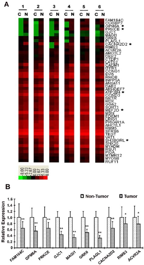 Quantitative Rt Pcr Analysis Of Hsa Mir 96 Expression Two Groups Of