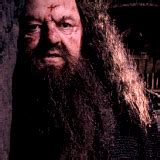 Hagrid Rubeus Hagrid Icon 35405155 Fanpop