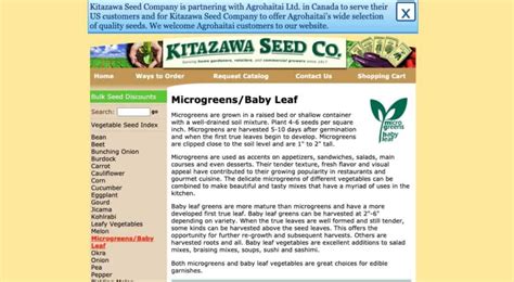 7 Best Places to Buy Microgreen Seeds Online – WhyFarmIt.com