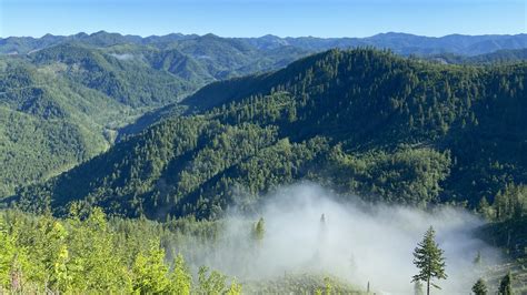 Oregon Forest Industries Council Sustainability Science Innovation