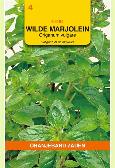 Obz Wilde Marjolein Avri Bloem En Tuincentrum