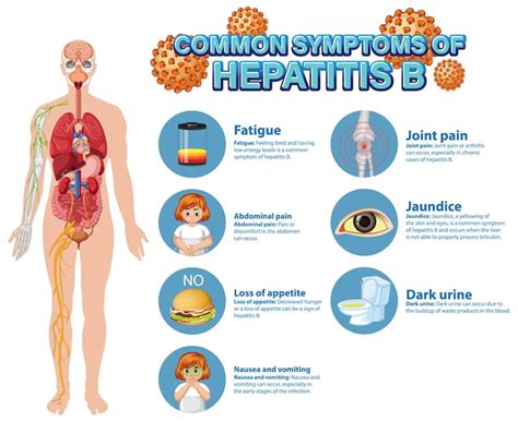 Premium Vector Informative Poster Of Common Symptoms Hepatitis B