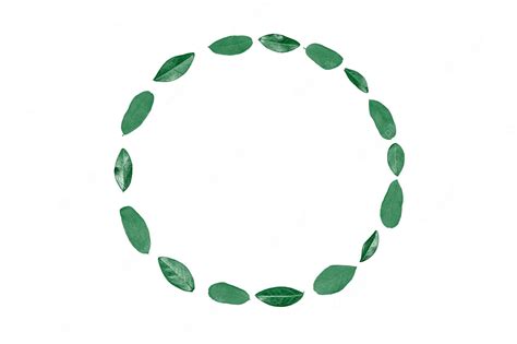 Mint Green Circle Clip Art